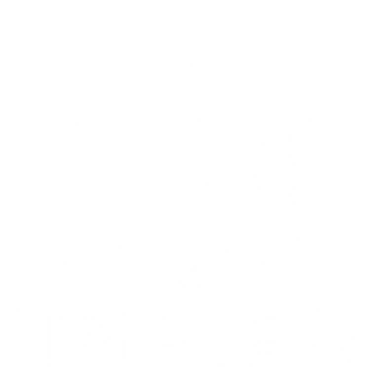 Triple S Logo